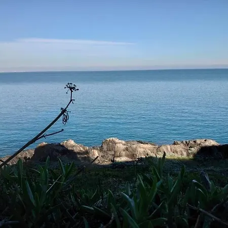 4Rb4 Appartement Type T2 Bord De Mer Acces Plage Direct Collioure Exterior photo